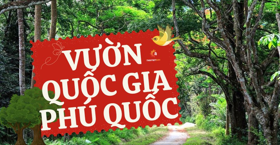 Khám phá Vườn Quốc Gia Phú Quốc - Khu rừng dự trữ sinh quyển thế giới